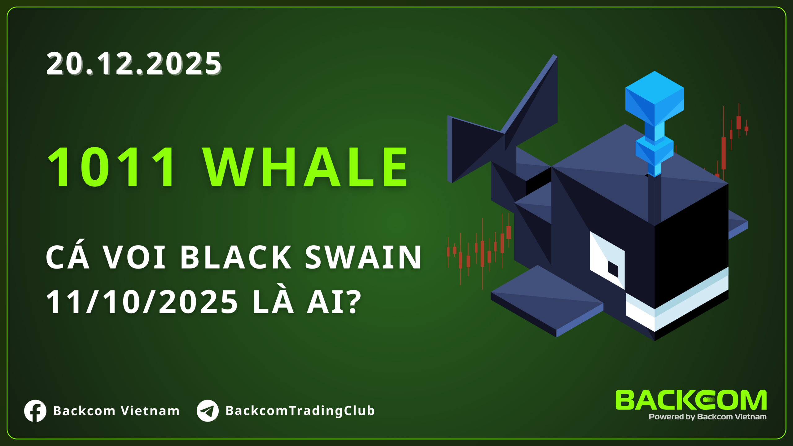 1011 Whale - “Cá voi Black Swan” ngày 11/10/2025 là ai?