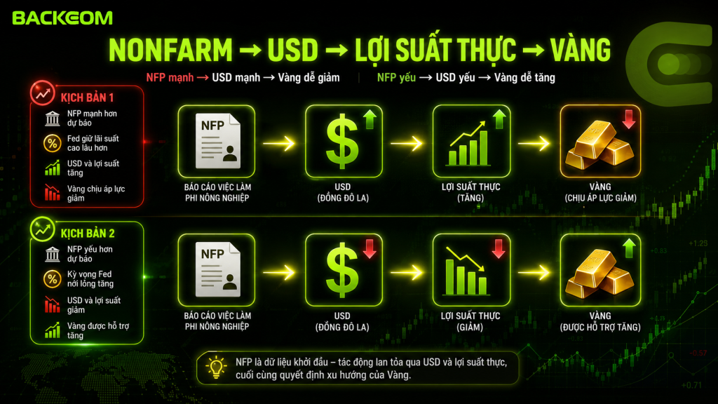 Cơ chế truyền dẫn từ Nonfarm đến USD, lợi suất thực và giá vàng